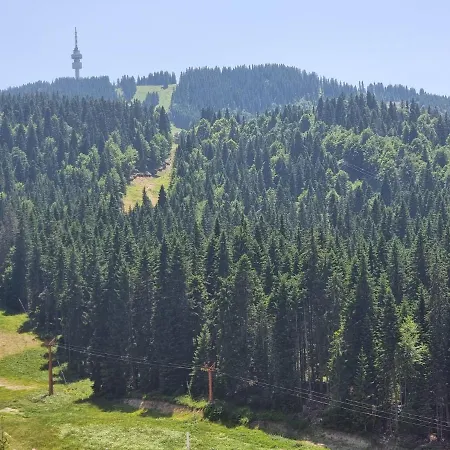 Mountain Chalets